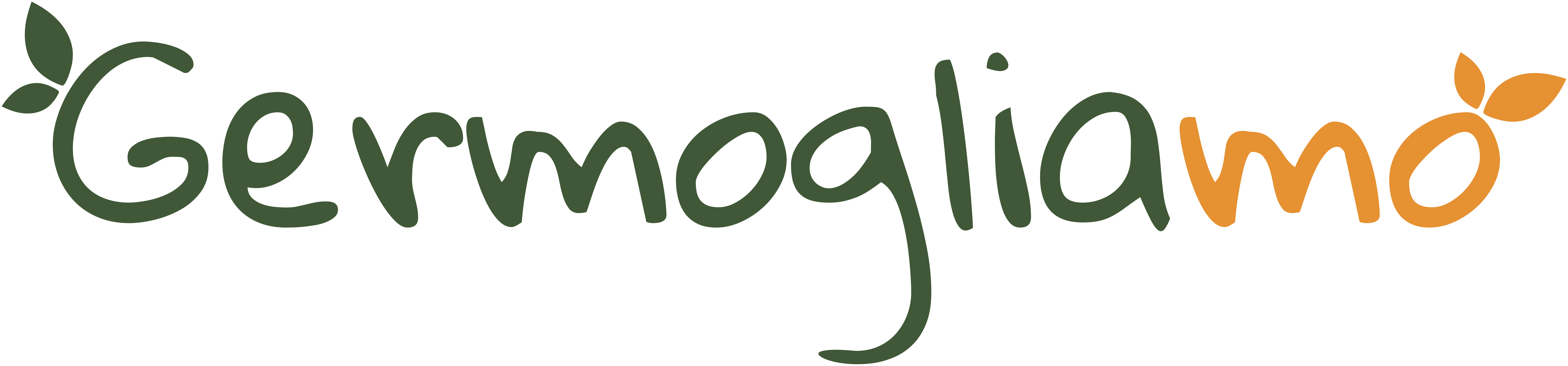 Germogliamo — il banco vegetale della Stefi